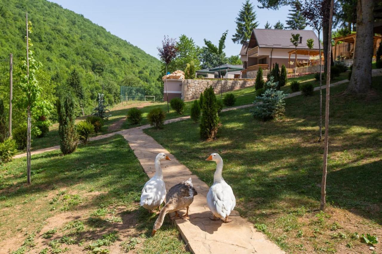 Vila Jasen - Bjelasnica Sarajevo Exterior photo